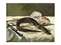 Eel and Red Mullet, 1864 Fine Art Print