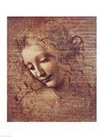 Head of a Young Woman with Tousled Hair Fine Art Print