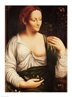 Columbine Fine Art Print