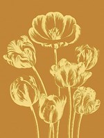 Tulip 20 Fine Art Print