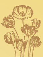 Tulip 19 Fine Art Print