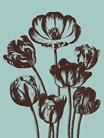 Tulip 18 Fine Art Print