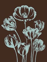 Tulip 17 Fine Art Print