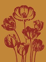 Tulip 15 Fine Art Print