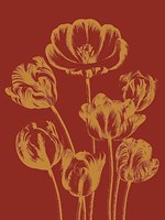Tulip 16 Fine Art Print