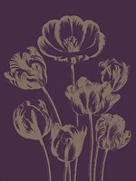 Tulip 13 Fine Art Print