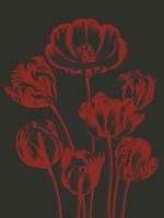 Tulip 10 Fine Art Print