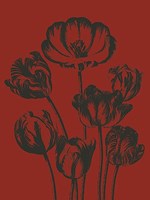 Tulip 9 Fine Art Print
