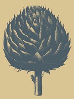 Artichoke 1 Fine Art Print