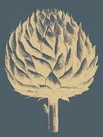 Artichoke 2 Fine Art Print