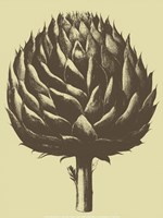 Artichoke 3 Fine Art Print