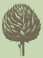Artichoke 11 Fine Art Print