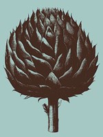 Artichoke 18 Fine Art Print