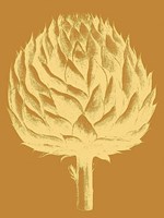 Artichoke 20 Fine Art Print