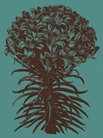 Lilies 5 Fine Art Print