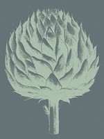 Artichoke 7 Fine Art Print
