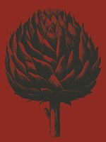 Artichoke 9 Fine Art Print