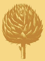 Artichoke 19 Fine Art Print