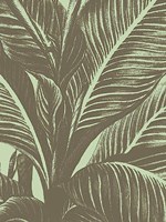 Leaf 11 Fine Art Print