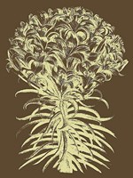 Lilies 3 Fine Art Print