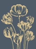 Tulip 2 Fine Art Print