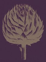 Artichoke 13 Fine Art Print