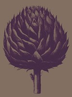 Artichoke 14 Fine Art Print