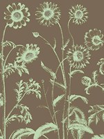Chrysanthemum 12 - 24" x 32"