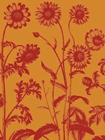 Chrysanthemum 15 - 24" x 32"