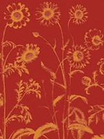 Chrysanthemum 16 - 24" x 32"