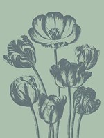Tulip 8 Fine Art Print