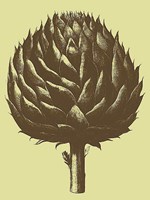 Artichoke 3 Fine Art Print