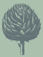 Artichoke 8 Fine Art Print