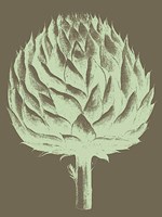 Artichoke 12 Fine Art Print