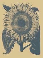 30" x 40" Sunflower Decor