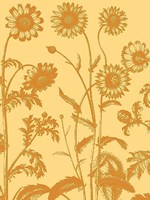 Chrysanthemum 19 - 30" x 40"