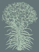 Lilies 7 Fine Art Print