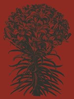 Lilies 9 Fine Art Print