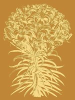 Lilies 20 Fine Art Print