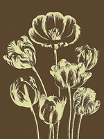 Tulip 4 Fine Art Print