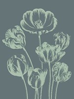 Tulip 7 Fine Art Print