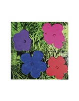 Flowers (1 purple, 1 blue, 1 pink, 1 red), 1964 by Andy Warhol, 1964 - 11" x 14"