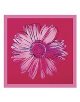 Daisy, c. 1982 (crimson and pink) Fine Art Print