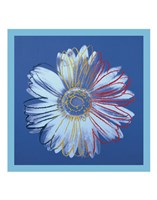 11" x 14" Daisy Pictures