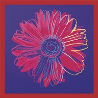 Daisy, c.1982 (blue & red) Fine Art Print