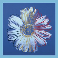 Daisy, c.1982 (blue on blue) Fine Art Print