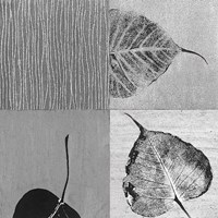 Leaf Quad Fine Art Print