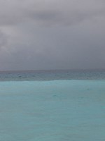 Bleu 7 Fine Art Print