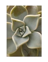 Bronx 1921 Fine Art Print