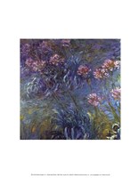 Jewelry lilies Fine Art Print